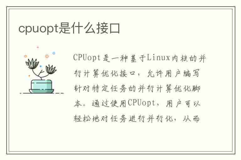 cpuopt是什么接口(CPUOPT是什么接口)